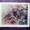 curvas de coral